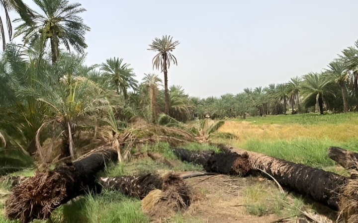 چه خبر از کرمان؟