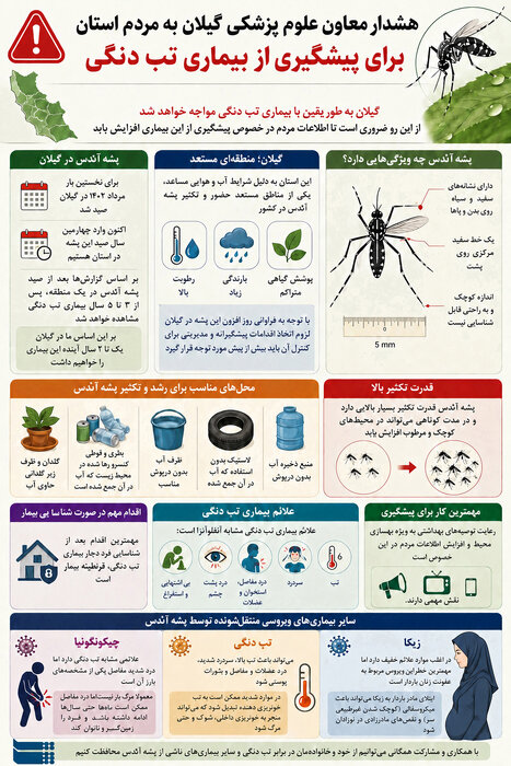 اینفوگرافیک |آنچه باید درباره پشه آئدس بدانیم