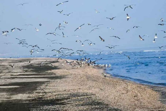 لوندویل؛ ظرفیت پنهان گردشگری غرب گیلان