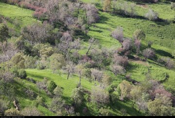 نوین روستای هدف گردشگری در منطقه اورامانات