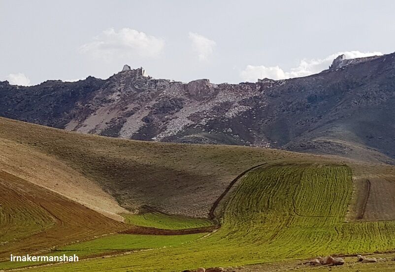 هجوم معدنداران جدید به طبیعت زخمخورده هجوم معدنداران جدید به طبیعت زخمخورده