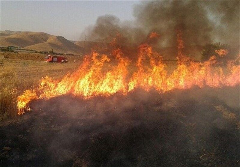 نابودی ۶۰ هکتار از مراتع شمیرانات و احتمال دخالت انسانی