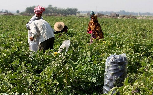  موقوفه های رودان زمینه اشتغال ۴۰۰ نفر را فراهم کردند