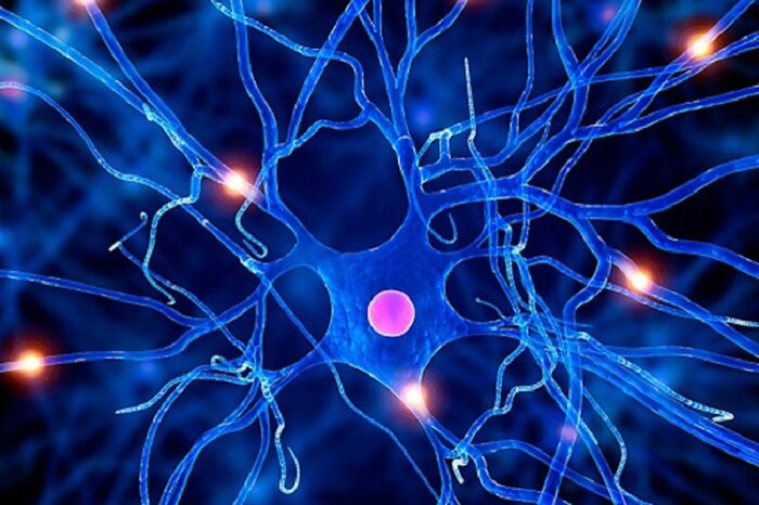 نشانه ها و راه های پیشگیری بیماری ام اس را بشناسید
