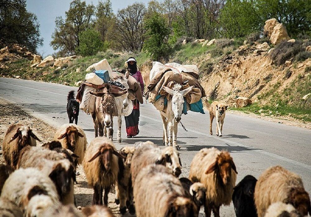 ۶۰۰ خانوار عشایری آذربایجان غربی به خارج از استان کوچ می کنند