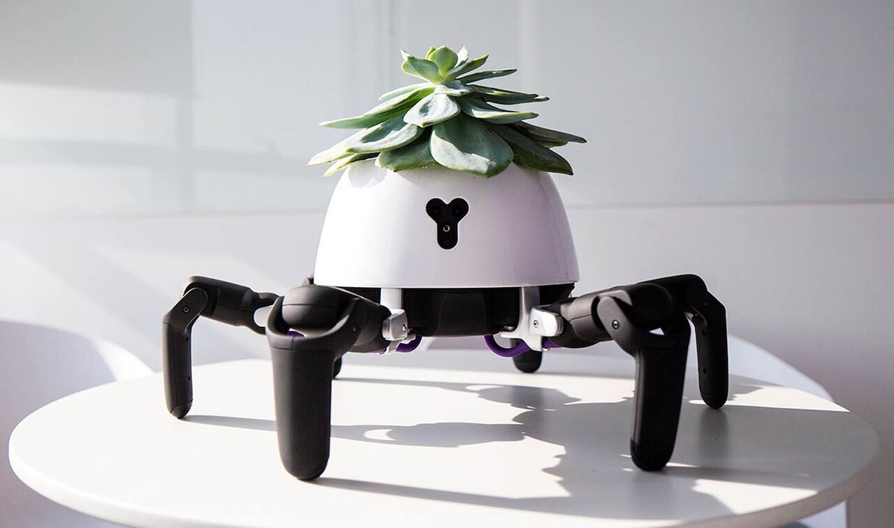 رباتی که دست و پای گیاهان می‌شود