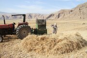 تشکیل شعب حل اختلاف کشاورزان و برداشت کنندگان در خوزستان