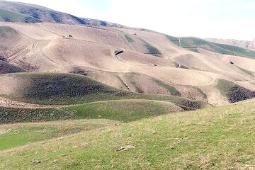 طرح مرتعداری برای ۲۵۶ هزار هکتار از مراتع چهارمحال و بختیاری تهیه شد