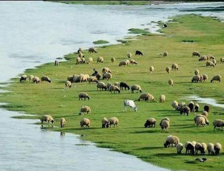 آبرسانی سیار به مناطق عشایری چهارمحال و بختیاری متوقف شد 