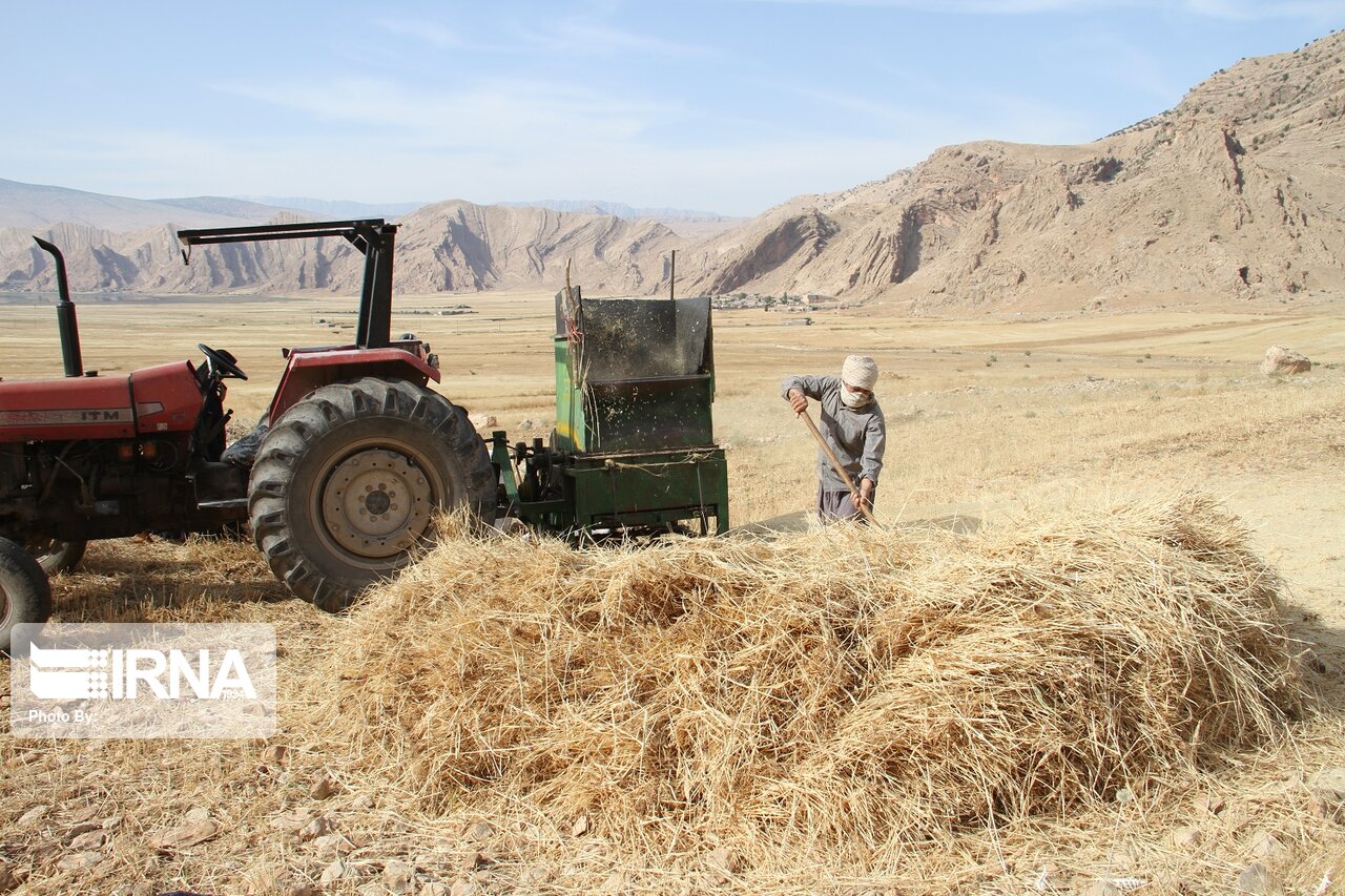 تشکیل شعب حل اختلاف کشاورزان و برداشت کنندگان در خوزستان