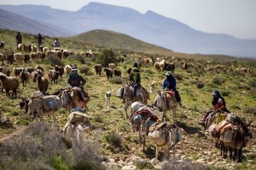 کوچ عشایر مهاباد به مناطق ییلاقی آغاز شد