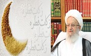 میزان زکات فطره از سوی آیت الله مکارم شیرازی اعلام شد