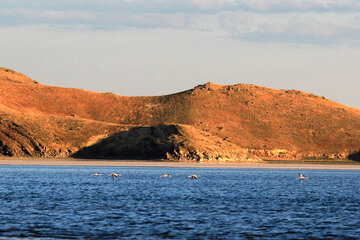 جزیره کبودان