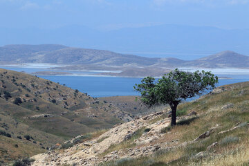 جزیره کبودان