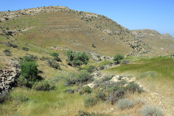 جزیره کبودان