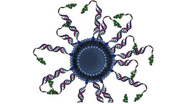ساخت واکسن ضدسرطان حاوی اسیدنوکلئیک و نانوذرات