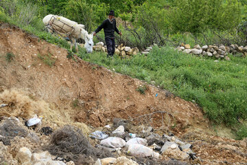 رانش زمین در «روستای عرب» بجنورد‎