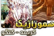 بیماری کریمه کنگو با آغاز فصل گرما شایع می شود 