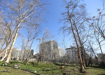 ۱۵پلاک ثبتی به بوستان‌های محلی تبدیل می‌شود/افتتاح مرحله نخست بوستان ۴۵ هکتاری در سال جاری