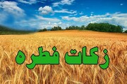 مازنی‌ها ۲۱ میلیارد ریال زکات فطره به بهزیستی دادند