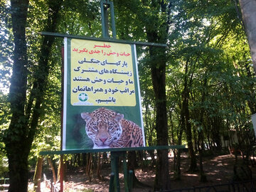 احتمال حضور حیوانات وحشی در تفرجگاه های جنگلی گرگان ؛ گردشگران مراقب باشند