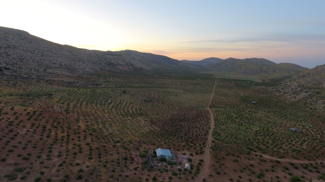 فرماندار داراب:گلستان دیم این شهرستان توانایی جذب گردشگر دارد 