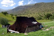 عشایر آذربایجان غربی در ۵۵۰ منطقه سیاه چادر برپا می کنند