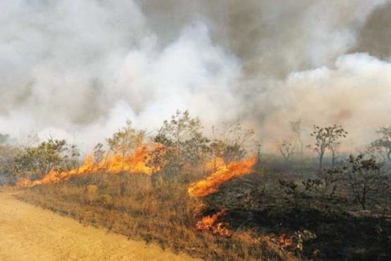 کشاورزان  البرز از آتش زدن علف‌های خشک اطراف مزارع خودداری کنند