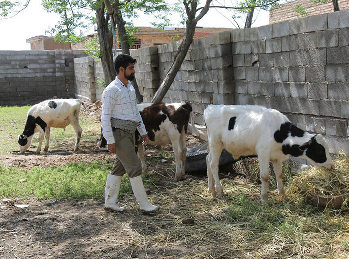 بنیاد برکت 40 میلیارد ریال در بیجار سرمایه گذاری کرد