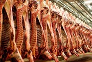 شهروندان یزدی از مصرف گوشت بدون مهر دامپزشکی پرهیز کنند 