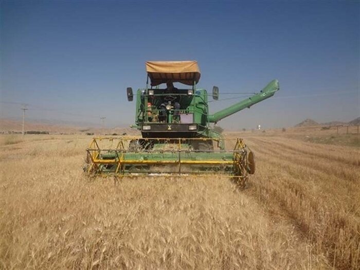 130 هزار تن گندم در شوشتر خریداری شد