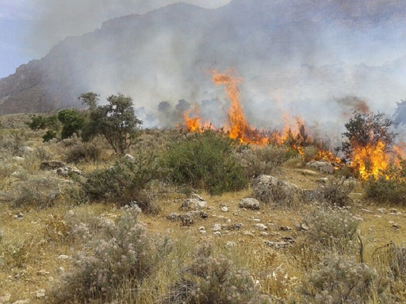 آتش سوزی ارتفاعات «مله نی» گیلانغرب را فرا گرفت 
