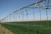 ۴۶ پروژه جهاد کشاورزی در خوسف به بهره برداری می‌رسد