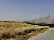 ۳۰ هکتار از مزارع کشاورزی سرپل ذهاب در آتش سوخت
