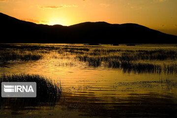 Gandoman Lagoon in West of Iran; An Aquatic Ecosystems