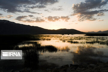 Gandoman Lagoon in West of Iran; An Aquatic Ecosystems