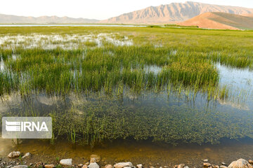 Gandoman Lagoon in West of Iran; An Aquatic Ecosystems