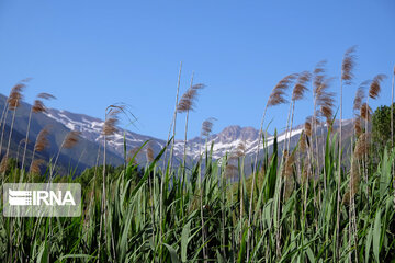 Avan Lake – Qazvin