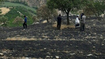 سه هکتار از جنگل های روستای بلبر سروآباد طعمه حریق شد