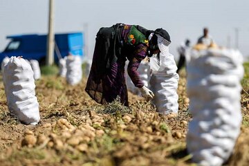  توسعه اقتصادی مناطق محروم با راهبرد اشتغال روستایی و عشایری