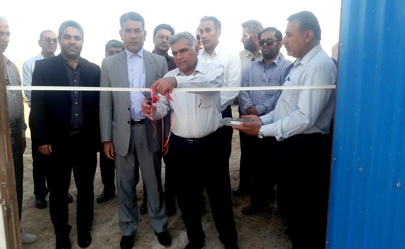 طرح پرواربندی گوساله در گناوه افتتاح شد طرح پرواربندی گوساله در گناوه افتتاح شد