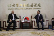 Chinese scholar calls for boosting Iran-China scientific ties
