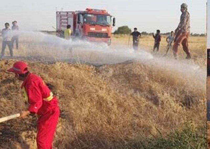 سه هکتار مراتع شهرستان جم در آتش سوخت 