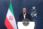 سخنگوی دولت: زنگنه از وزرای کلیدی دولت است