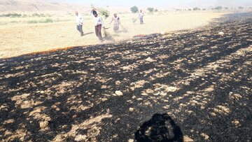 آتش سوزی مزارع روستاهای اطراف شهر باشت مهار شد
