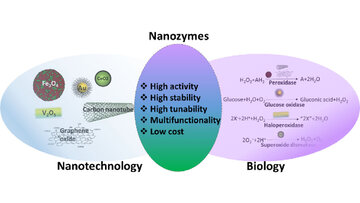 دستیابی پژوهشگران به نانو آنزیمی با فعالیت کاتالیستی ۷۰ برابر بیشتر