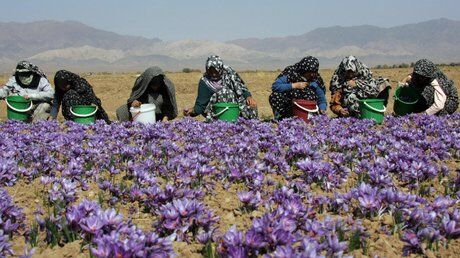 اختصاص ۸۵۰ میلیون تومان برای توسعه مشاغل خانگی زنان روستایی بروجرد