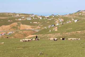 مراتع وگوسفندان خلخال