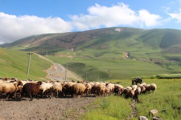 هشدار فرمانده یگان حفاظت منابع طبیعی قزوین به دهیاران متخلف