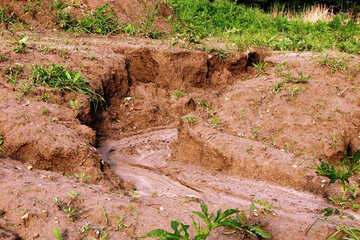 دخالت انسان بیشترین عامل فرسایش خاک در کشور است 